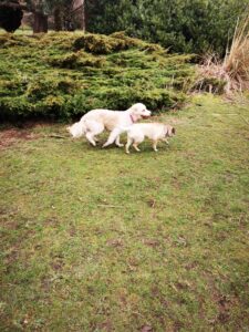 IMG-20230303-WA0015