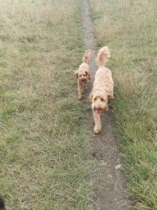 IMG_20220907_124207